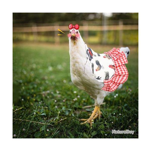 4PCS Selle de Poulet Tablier pour Poule avec Sangles �lastiques FONGWAN Fixateur de Protection en Pl