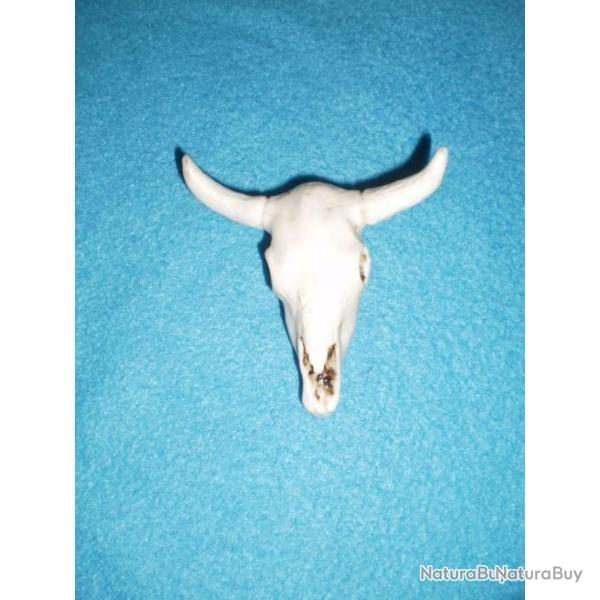 Petit cr�ne de bison en r�sine pour d�corer votre vitrine !