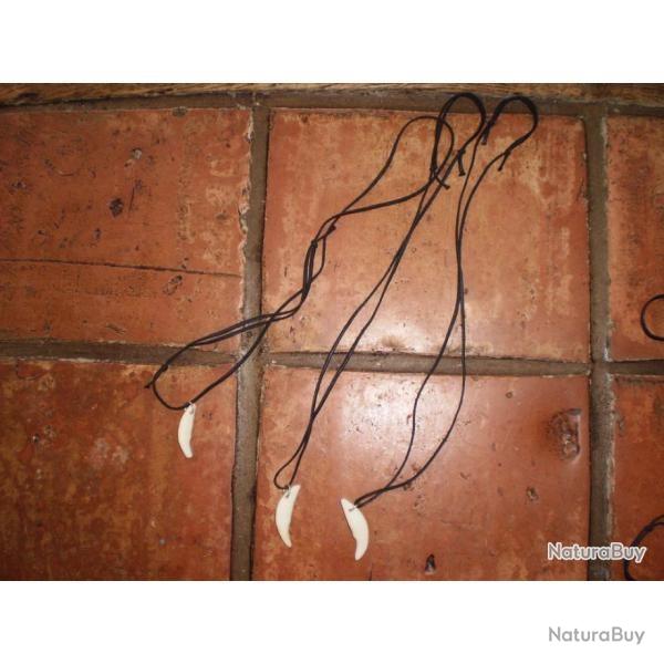 Collier canine de coyote