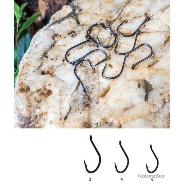 Hame�on Carpe EX 605 N� 2