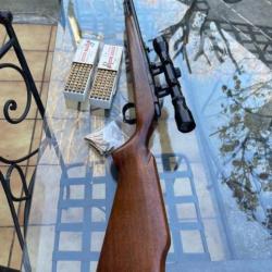 carabine remington 5mm filet&eacute;