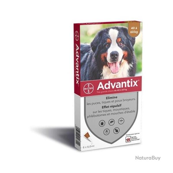 Pipettes ADVANTIX 40-60kg