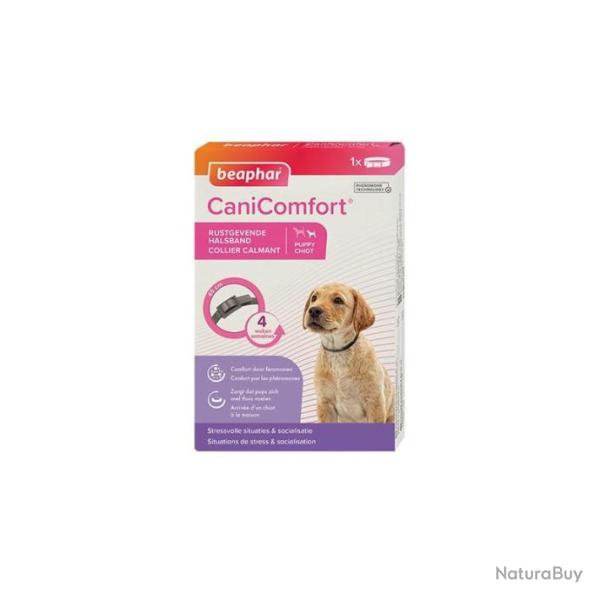 collier calmant canicomfort pour chiot