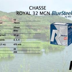 RIO ROYAL BLUE STEEL 12 76 32 GRAMMES PAR 250