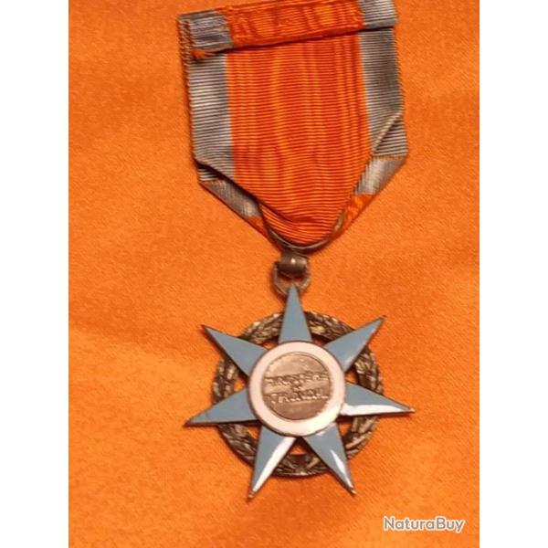 MEDAILLE CHEVALIER MERITE SOCIALE, FRANCE, EMAIL ABIME