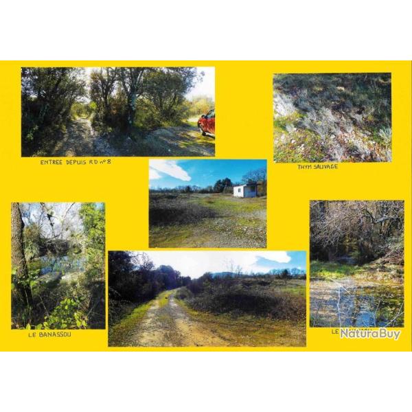 114,2848 ha - FOR�T DE SABATIER - ( 30 ) GARD