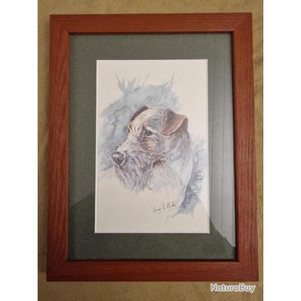 IDEE CADEAU - Aquarelle "chien" sign�e H. le Mesle - HILMAR SUPER DESTOCK !!!