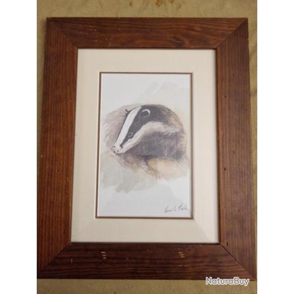 IDEE CADEAU - Dessin aquarell� "blaireau" sign� H. le Mesle - HILMAR SUPER DESTOCK !!!