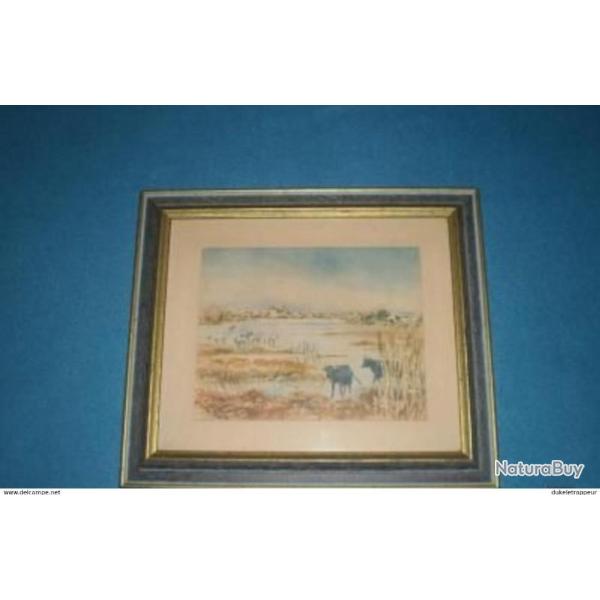 Cadre "Saintes-Maries-de-la-Mer" ! Camargue , Gardians, etc...