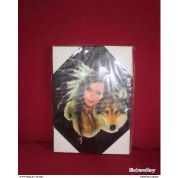 Cadre INDIENNE et LOUP !