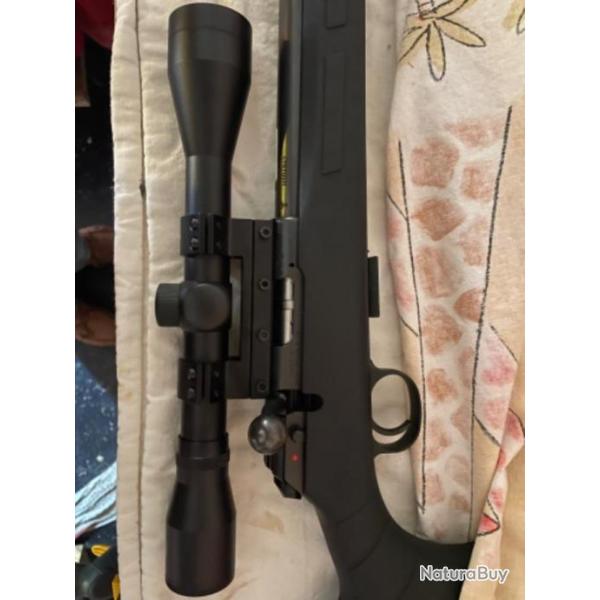 Lunette TLD SWISS ARMS 4x40