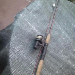 Petite canne a peche demontable