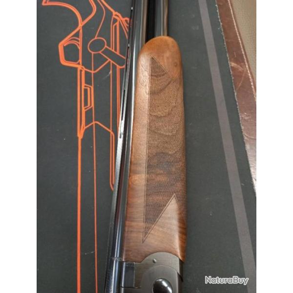 Beretta ultralegero 12