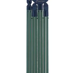 CANNE BUSH ESSENTIAL VERTE