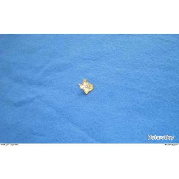 Pin's TEXAS !!!