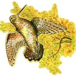 AUTOCOLLANT COULEUR BECASSE A4 DECOUPE A LA FORME