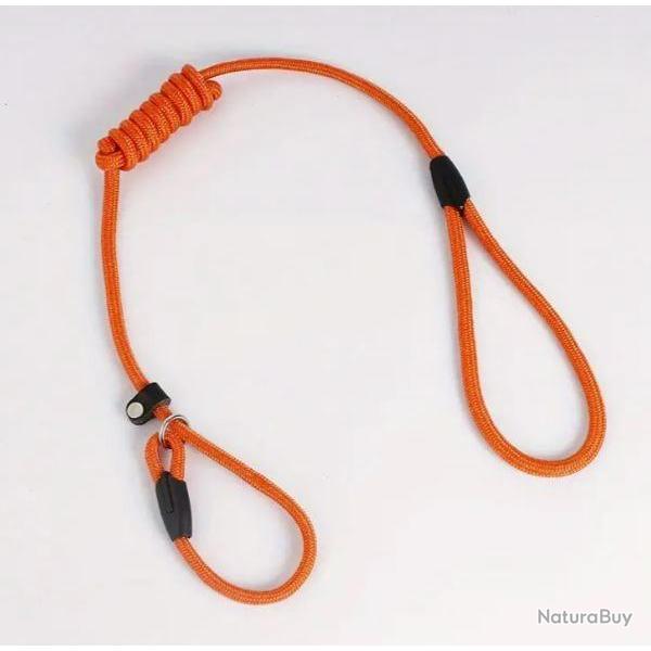 Laisse � chien fluo