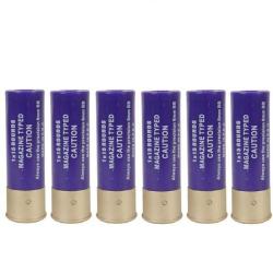 Cartouche Pompe (Pack de 6) - Violet (S&T)