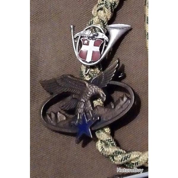 FOURRAG�RE - INSIGNE R�GIMENTAIRE et BREVET BRONZE du 13 �me B. C. A