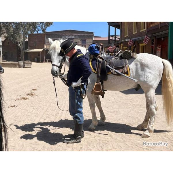 Selle McClellan M1859 officier US/CS