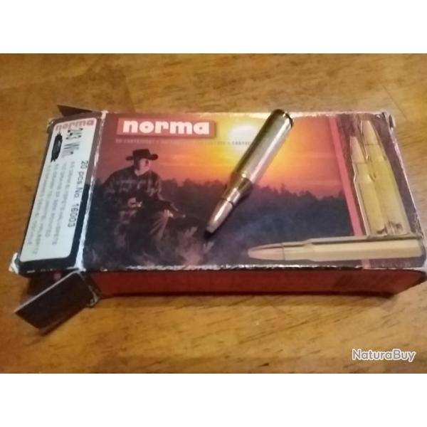 Cartouches 243 norma 100grs