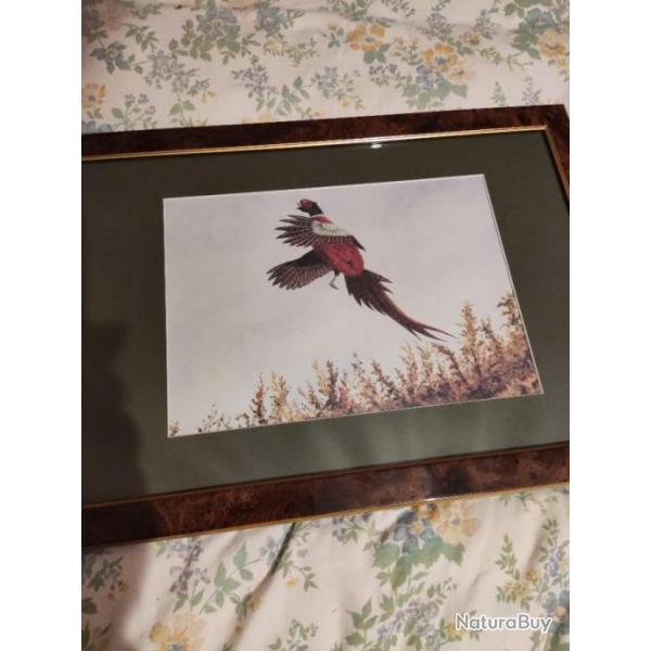 reproduction faisan a l envol H 45 CMS L 49.5 CMS imitation cadre loupe orme