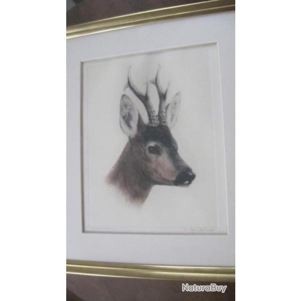 tableau de chasse de Kurt Meyer Eberhardt,  tte de brocard.