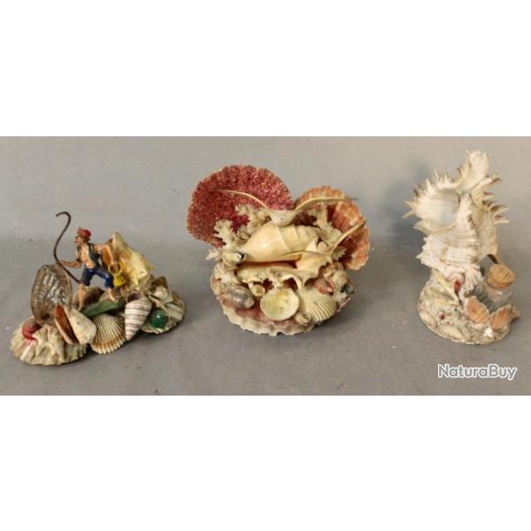 Suite De 3 Compositions En Coquillages De Mer