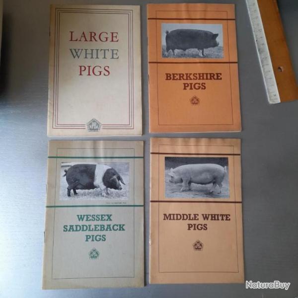 Livres sur les gros cochons. En anglais
