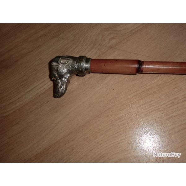 ancienne canne animaliere setter