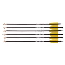 Fl&egrave;ches de chasse pour arc Whipshot