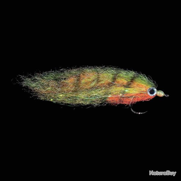 Streamer JMC Broc 40