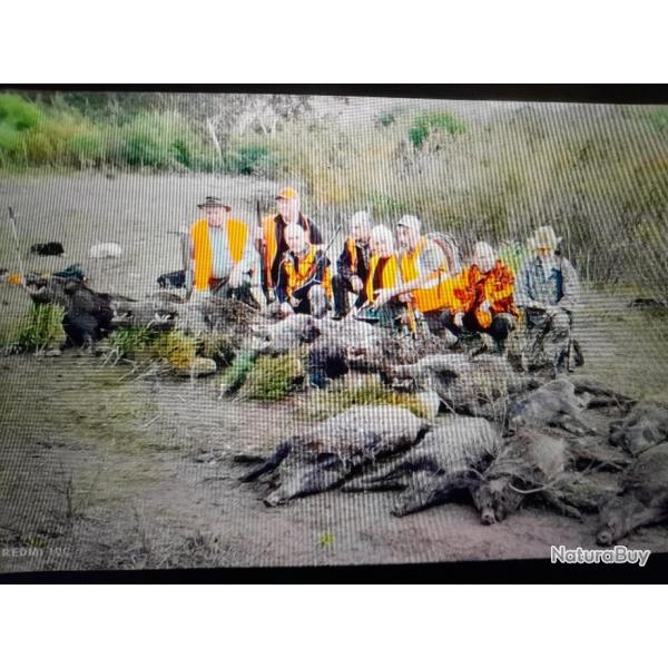 sejour de chasse aux sangliers en tunisie