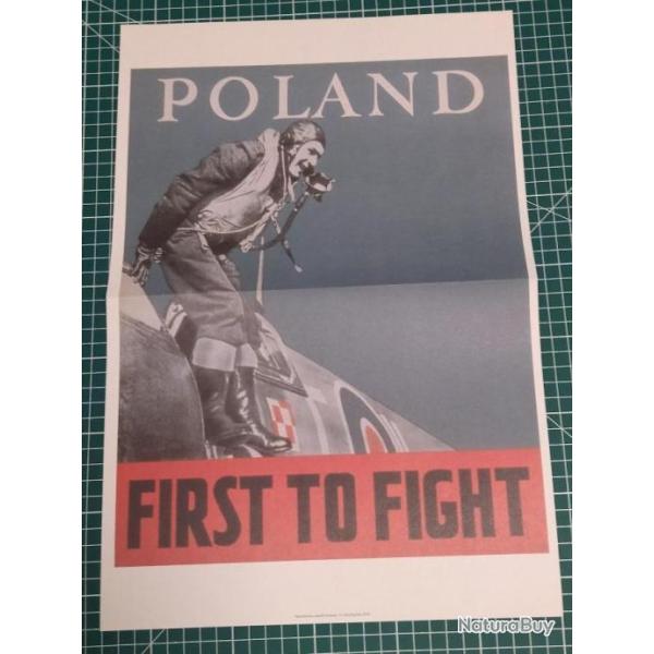 AFFICHE PROPAGANDE 39/45, REPRODUCTION 28 X 41,5 CM, AVIATION WW2 POLOGNE (11)