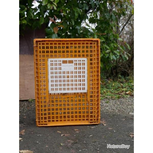 CAGE DE TRANSPORT OISEAUX