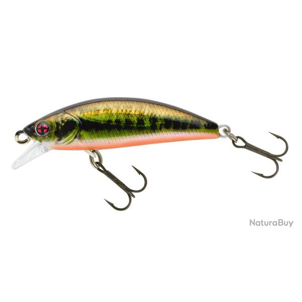 PHOXY MINNOW HW 50 S RL19 (Real Life Spawning Vairon)