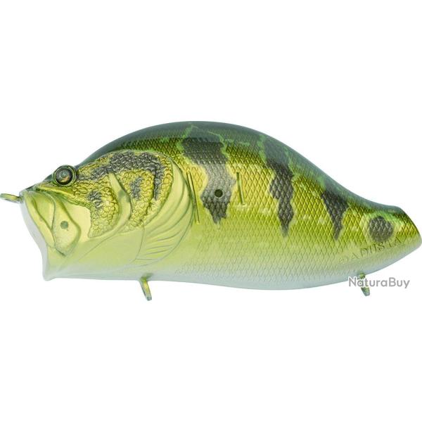 ZACRAWL YAJIROBEE 12 Gold