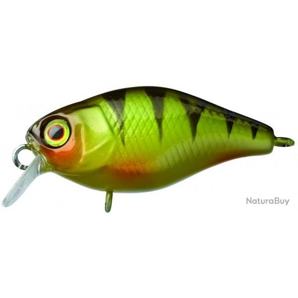 Crankbait ILLEX Chubby 38 Perch