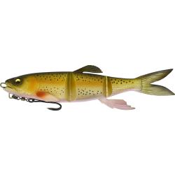 Leurre MEGABASS MagDraft Hasu Raver RAINBOW TROUT