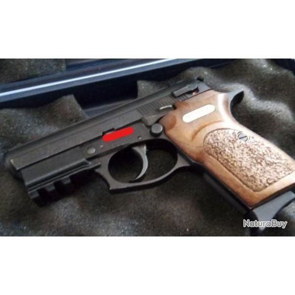 Adaptateur rail picatinny pour Bersa Thunder 22LR