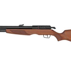 Carabine Gamo Riser Punisher 5. 5 mm 40 joules