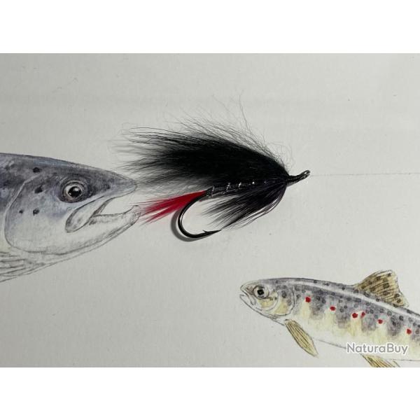 mouche saumon mod�le Scorff Bretagne num�ro 12  hame�on double