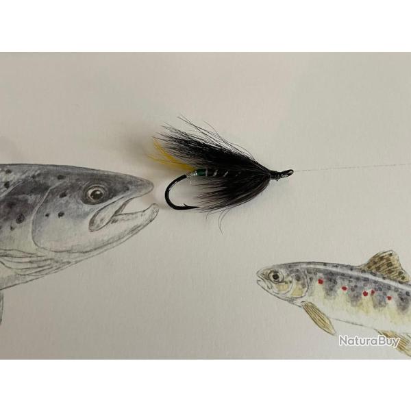 mouche saumon mod�le Green Butt num�ro 10