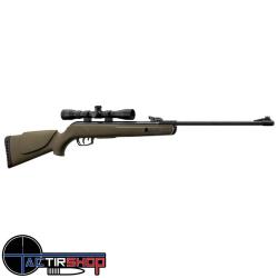 Carabine &agrave; plomb Gamo Big Cat 1000E Barricade 19.9 Joules 4.5 mm avec lunette 4x32WR
