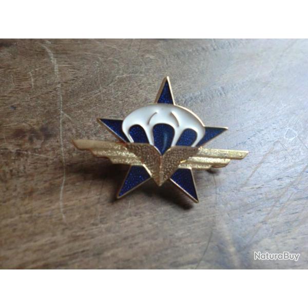 insigne 1eme regiment de chasseurs