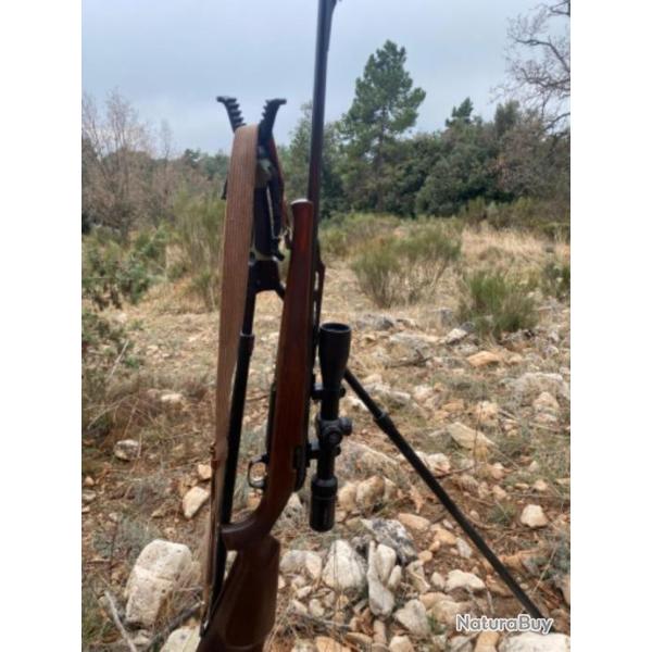 Carabine browning european avec lunette vortex