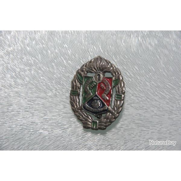 INSIGNE GUERRE INDOCHINE  : 1  REGIMENT  ETRANGER  CAVALERIE -- FABRICATION ARTISANALE ------------