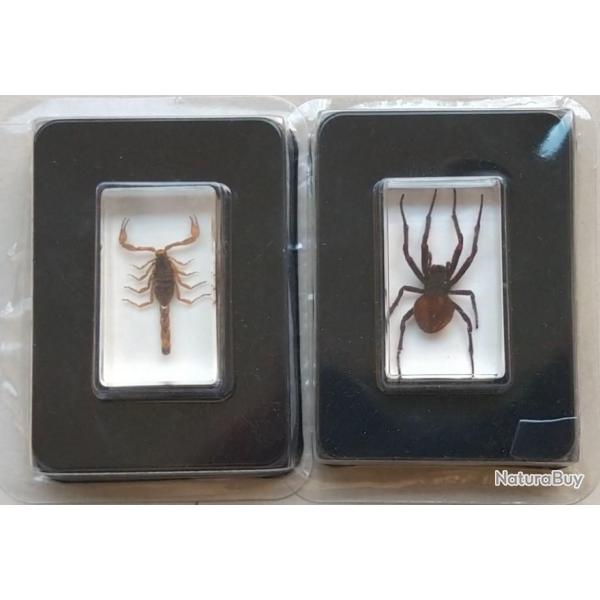 Lot 2 bestioles plastique - scorpion et araign�e.