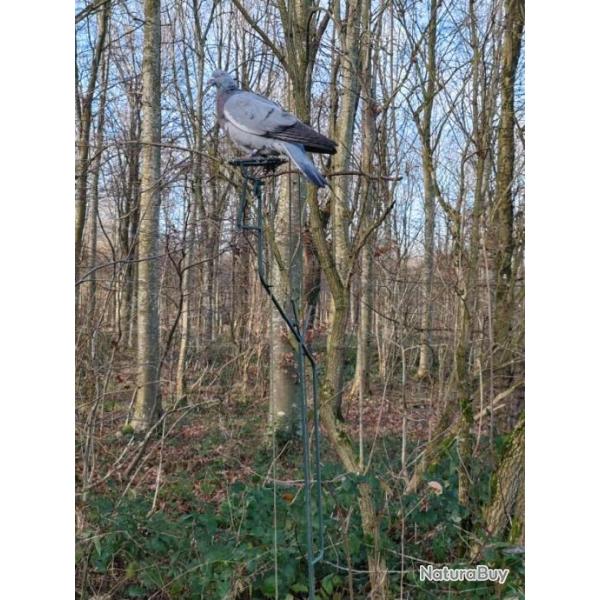 Glaneur Monocorde d�port�