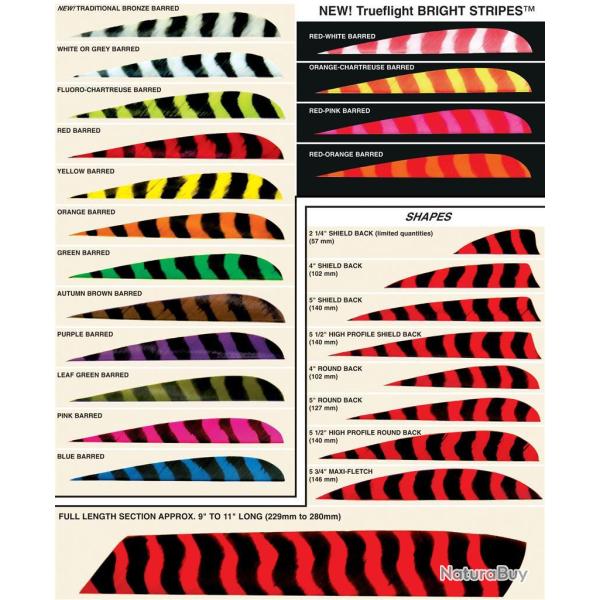 TRUEFLIGHT - Plumes Naturelles�4" Shield RH PINK